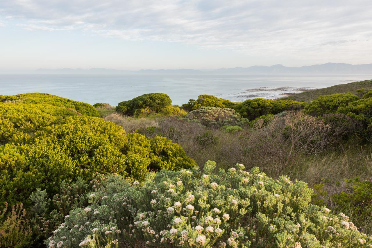 Romans Villa Gansbaai Exterior foto